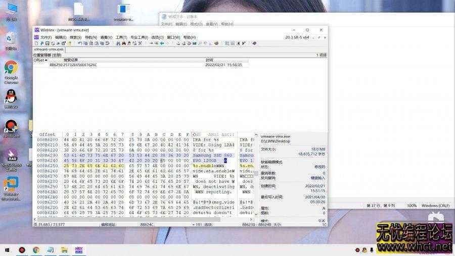 2022最新虚拟机去虚拟化教程  3196 无忧技术吧www.whct.net