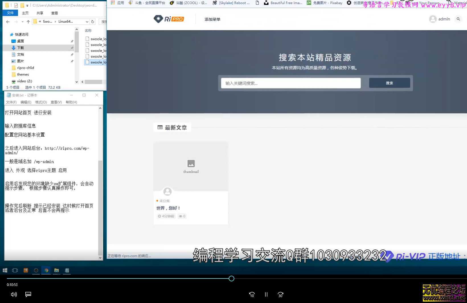 1分钟wordpress建站与使用RiPro主题设置教程  5264 无忧技术吧www.whct.net