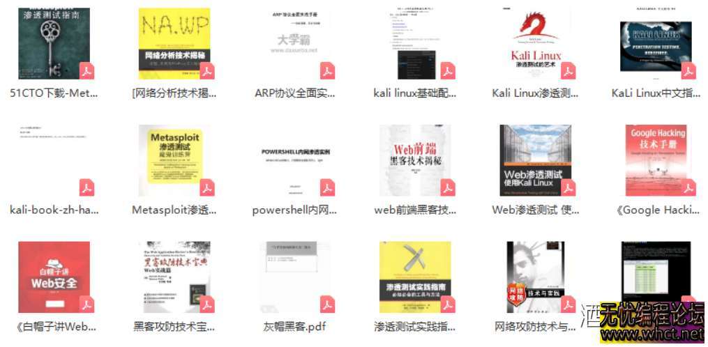 hack PDF 分享  9294 无忧技术吧www.whct.net