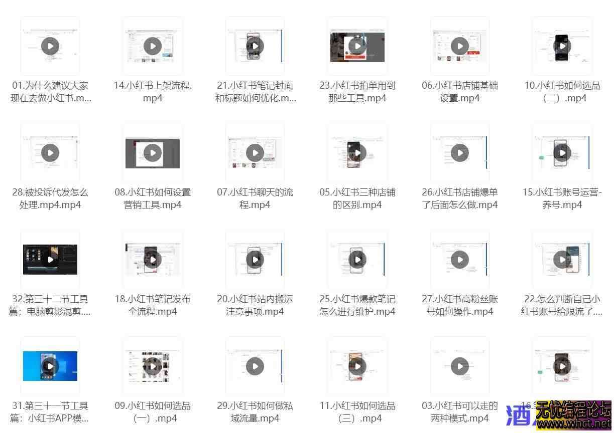 小红书电商新手入门到精通实操课  6538 无忧技术吧www.whct.net