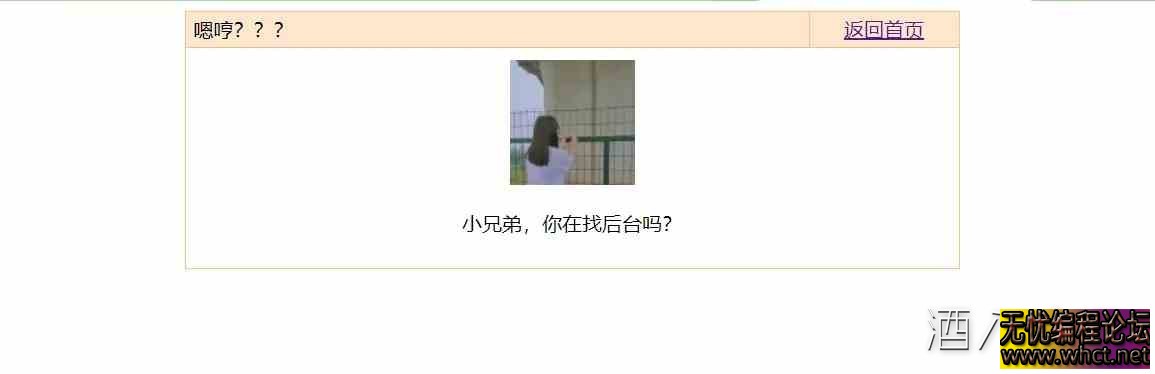 艾乐云后台伪装404恶搞页  7449 无忧技术吧www.whct.net