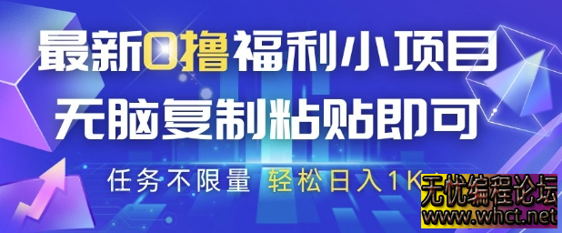 抖音 0 撸福利项目全解析：复制粘贴轻松日赚 300+，新手实操指南  5256 无忧技术吧www.whct.net