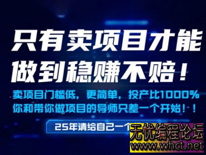 网创新逻辑：卖项目稳挣不赔的「铲子理论」实战指南  8635 无忧技术吧www.whct.net