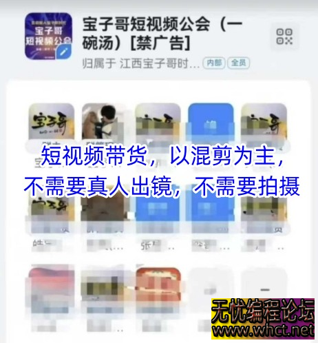 宝子哥团队短视频混剪带货课：零拍摄零出镜，新手 7 天起号实操攻略  1963 无忧技术吧www.whct.net