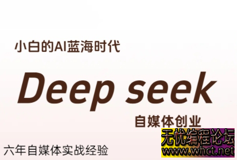 冰冰老师·普通人如何利用Deepseek创业  1189 无忧技术吧www.92wuyou.cn
